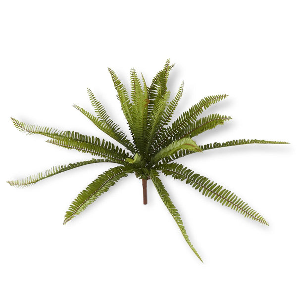 Fern Bush 26"
