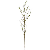 Snow Willow Spray