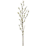 Snow Willow Spray