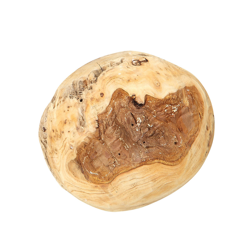 Fir Root Orb