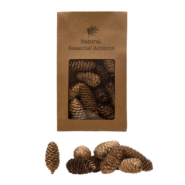 Dried Natural Pinecones in Printed Kraft Bag (2023)